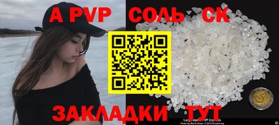 твердый Кингисепп