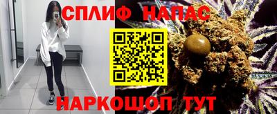 твердый Кингисепп