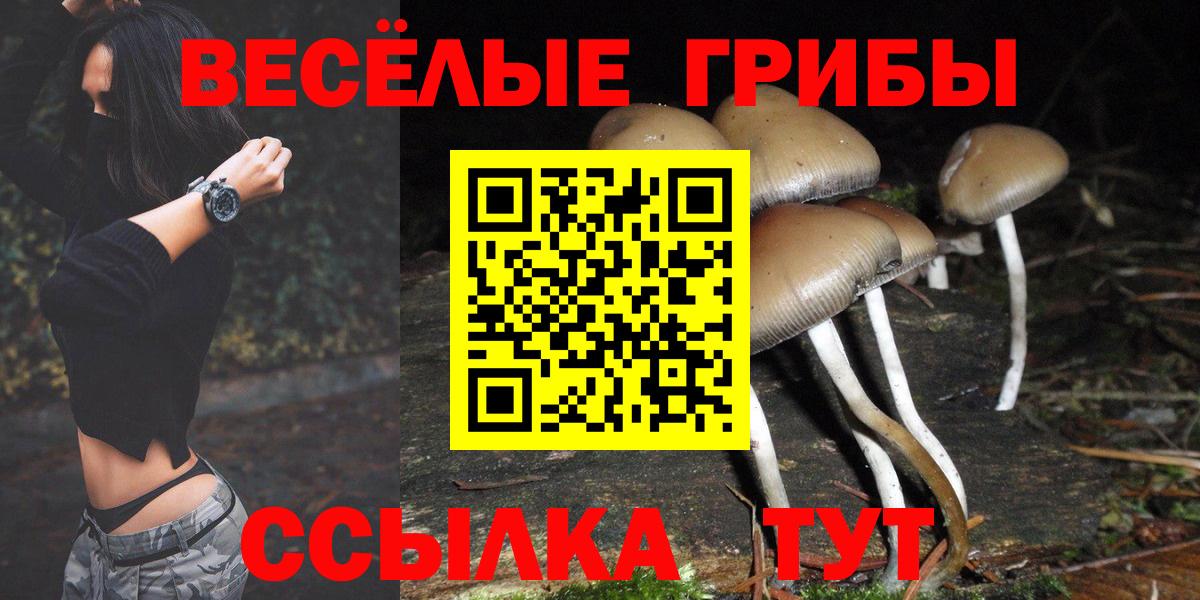 Галлюциногенные грибы мицелий Валуйки